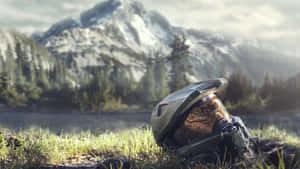 Cool Halo Helmet In Grass Wallpaper