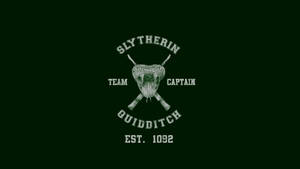 Cool Harry Potter Slytherin Quidditch Captain Wallpaper