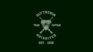 Cool Harry Potter Slytherin Quidditch Captain Wallpaper