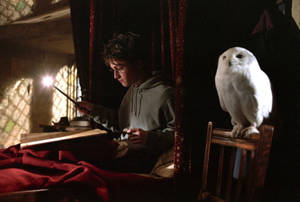 Cool Harry Potter Wand And Hedwig Wallpaper
