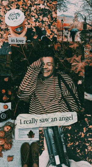 Cool Harry Styles Aesthetic Collage Wallpaper
