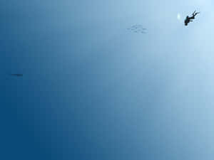 Cool Minimalist Diver Wallpaper