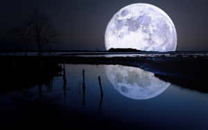 Cool Moon Over Water Wallpaper