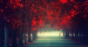 Cool Picture Of Alone Boy Wallpaper