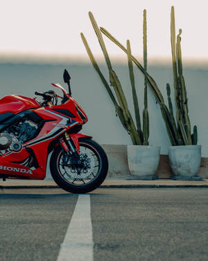 Cool Red Honda Motorcycle Wallpaper