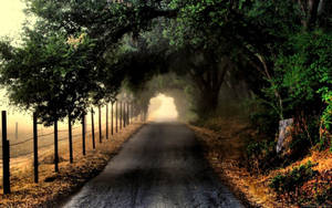 Cool Road And Nature Wallpaper