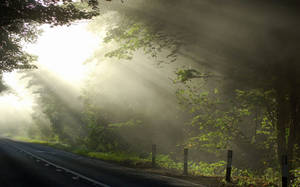 Cool Road Sunlight Wallpaper