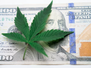 Cool Weed 100 Usd Wallpaper