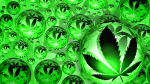 Cool Weed Inside Green Bubbles Wallpaper