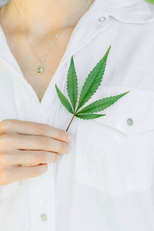 Cool Weed Leaf On White Blouse Wallpaper