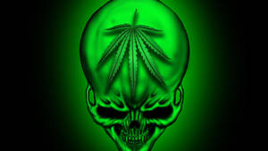 Cool Weed Skull Pc Wallpaper