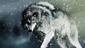 Cool Wolf In Snow Wallpaper