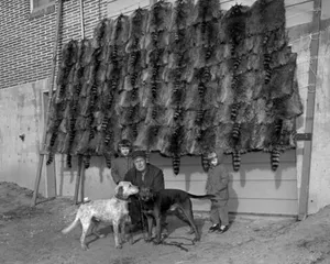 Coon Hunting Black And White Merchant Wallpaper