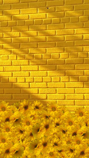 Corner Of Light Yellow Wallpaper