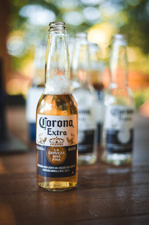 Corona Extra Beer Advertisement Wallpaper