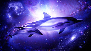 Cosmic Dolphin Galaxy Wallpaper