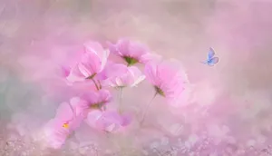 Cosmos Pastels Aesthetic Computer Wallpaper
