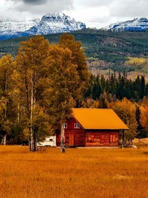 Country Iphone 1200 X 1600 Wallpaper