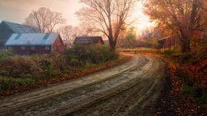Country Road Covered In Thick Mud Wallpaper