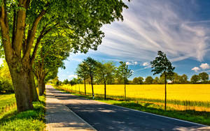 Country Road Vibrant And Lively Photograph Wallpaper