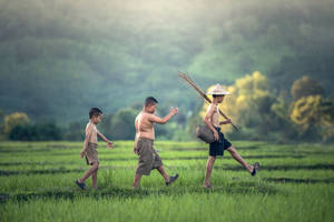 Country Summer Boys Rice Field Wallpaper