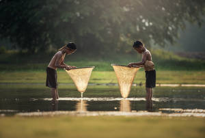 Country Summer Drying Net Wallpaper