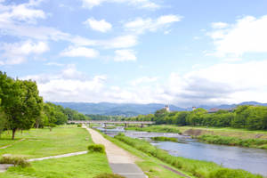 Country Summer River Path Wallpaper