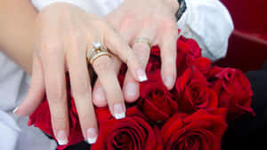 Couple Engagement Rings Red Rose Wallpaper