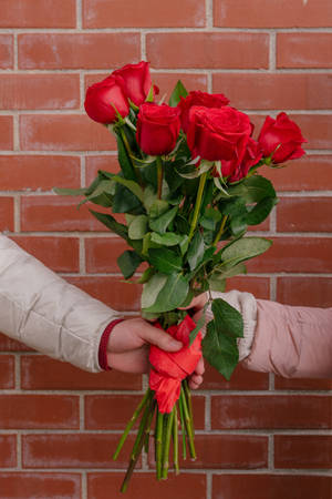 Couple Red Roses Brick Wall Wallpaper