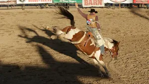 Cowboy Rides Bronco During Rodeo Show Wallpaper