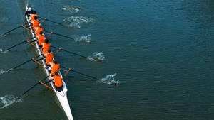 Coxless Eight Rowing Team Wallpaper