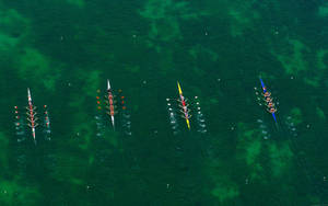 Coxless Four Rowing Competition Wallpaper