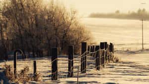 Cozy Winter Snowy Field And Fence Desktop Wallpaper