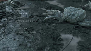 Crab Mud Death Stranding Pc Wallpaper