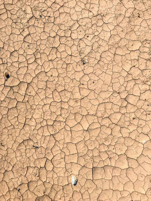 Cracked Dry Mud Texture Wallpaper
