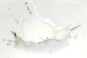 Creamy Dairy Milk Liquid Splatter Wallpaper