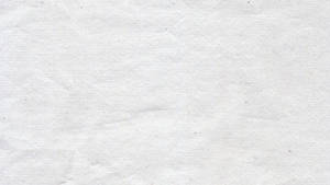 Creased Paper White Texture Wallpaper