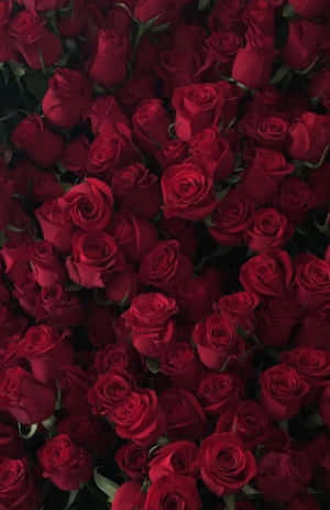 Create A Luxurious Maroon Look In Your Home. Wallpaper
