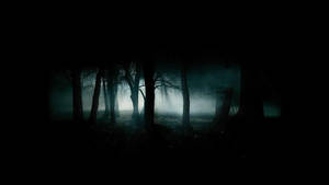 Creepy Dark Foggy Forest Wallpaper