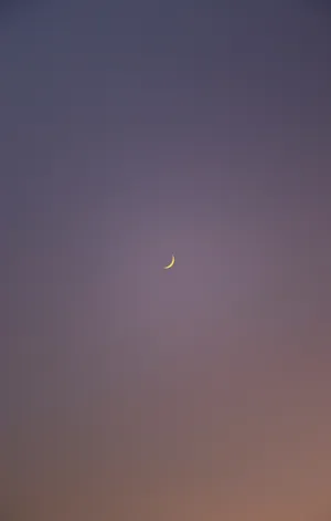 Crescent Moon Mobile Wallpaper