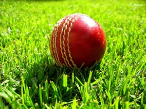 Cricket Red Kookaburras On A Green Grass Wallpaper