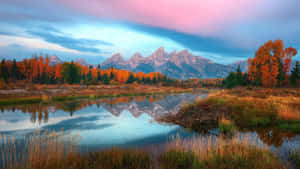 Crisp Autumn Air In A November Fall Wallpaper
