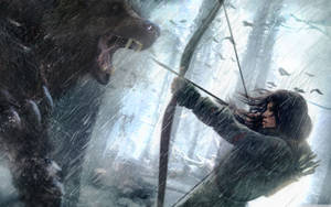 Croft Versus Black Bear Tomb Raider Wallpaper