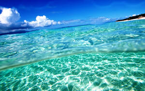 Crystal Clear Sea Waters Screen Saver Wallpaper