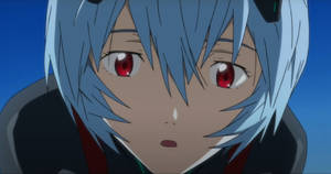 Curious Rei Evangelion Wallpaper