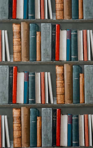 Curling Up With A Good Book On A Rainy Day. Wallpaper