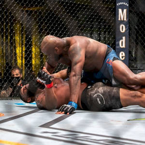 Curtis Blaydes Pressed Down Wallpaper