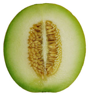Cut In Half Honeydew Melon Wallpaper