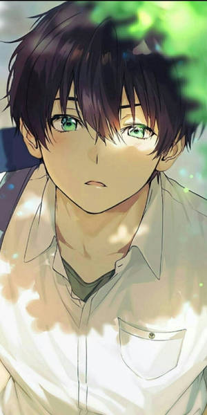 Cute Anime Boy Green Eyes Wallpaper