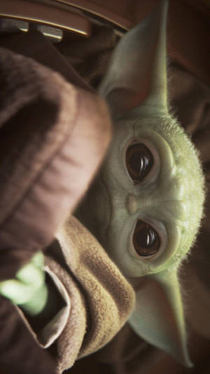 Cute Baby Yoda Wallpaper
